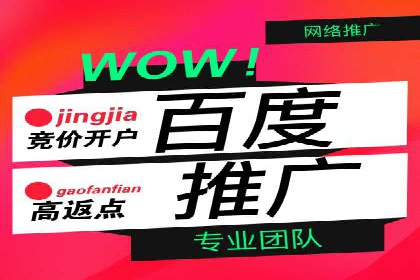 百度竞价运营实战案例分析：提升ROI策略