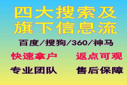 谷歌SEM广告投放的ROI优化：一家科技公司的成功经验
